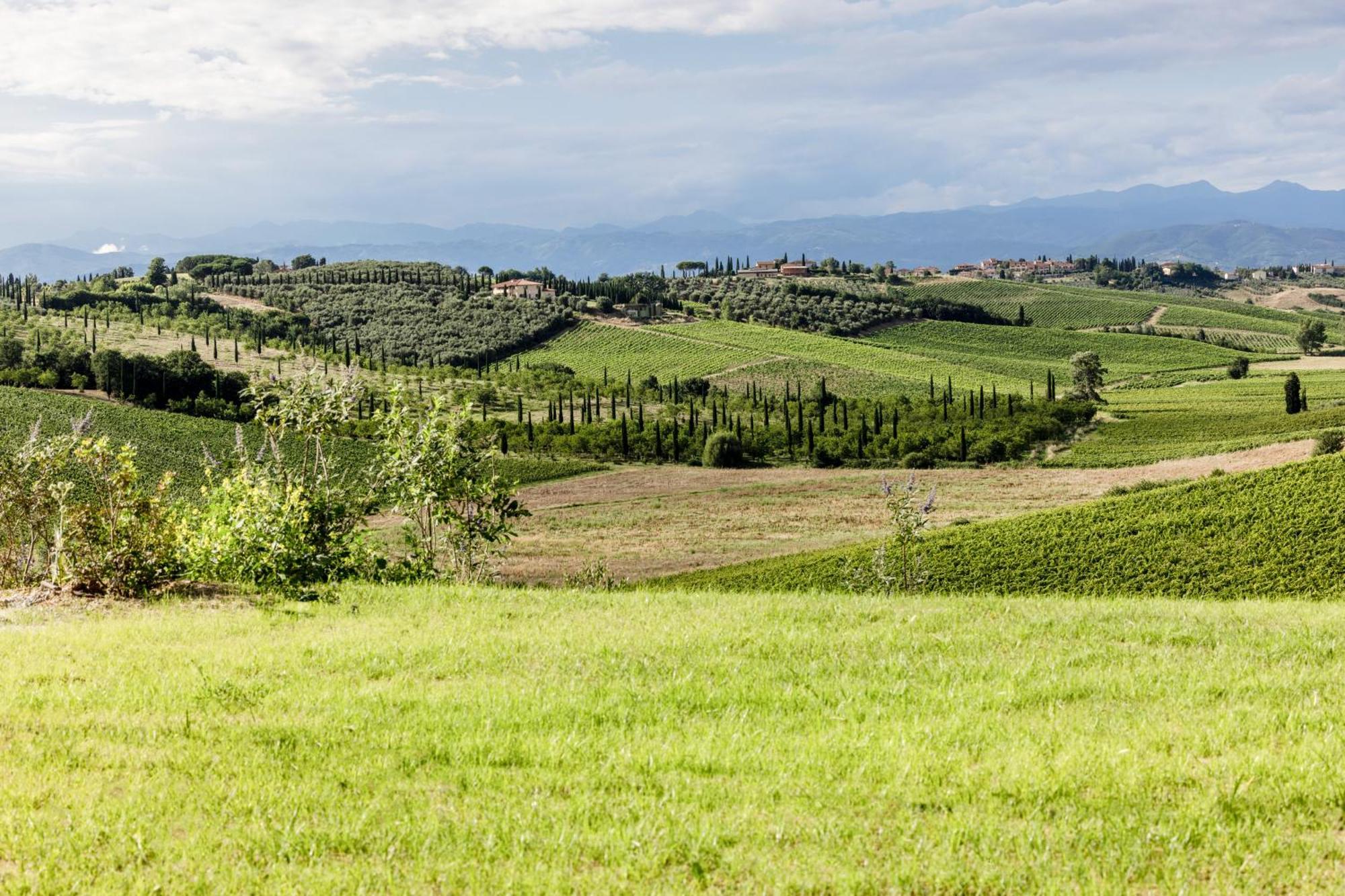 Colle Alberti Country House Cerreto Guidi Exterior foto